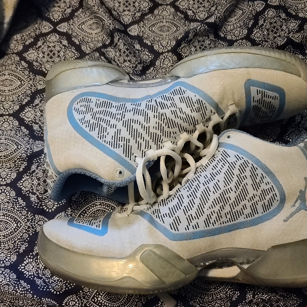 Air jordan 29 Pantone size 8.5